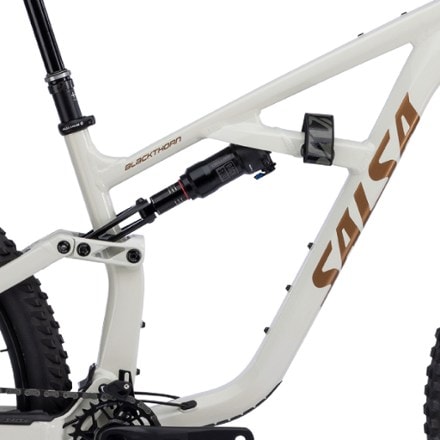 Salsa Blackthorn 125 Eagle 70 Transmission Mountain Bike 10