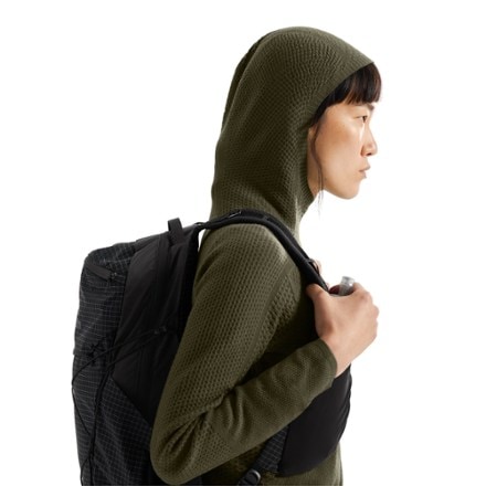 Arc'teryx Hallam Merino Wool Hoody - Women's 6