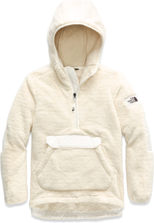 the north face campshire sherpa hoodie sweatshirt