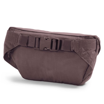 The North Face Glen Canyon Lumbar Pack 1