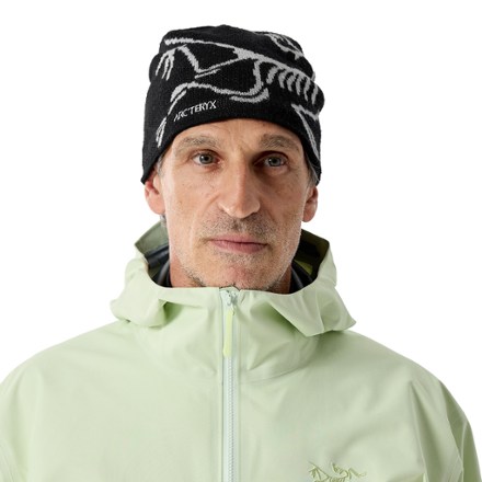 Arc'teryx Bird Head Toque Beanie 1