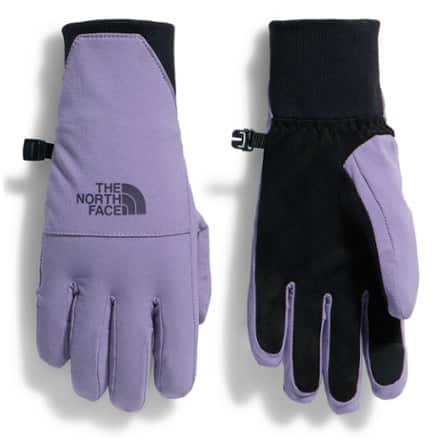 The North Face Shelbe Raschel Etip Gloves - Women's 0