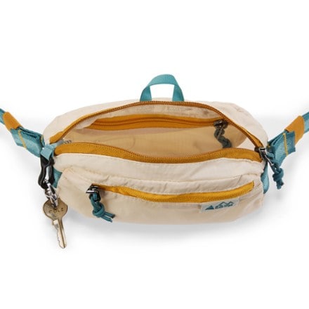 REI Co-op Stuff Travel Waist Pack 3