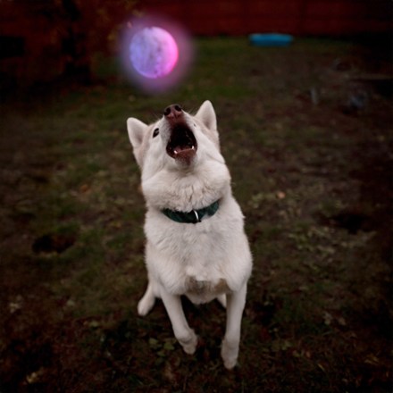 Location Image for GlowStreak Disc-O LED Ball