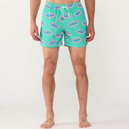 Chubbies Stretch 5.5" Swim Trunks - Men's 1