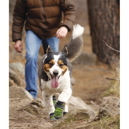 In-Use (Forest Green)