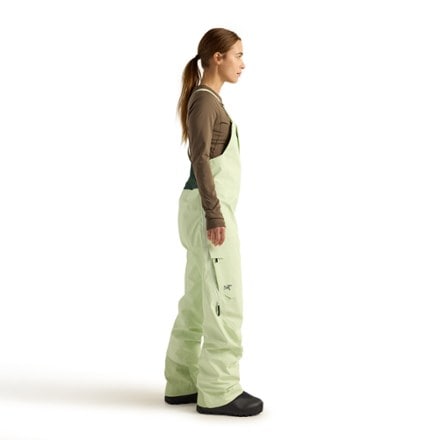 Arc'teryx Sentinel Bib Pants - Women's 4
