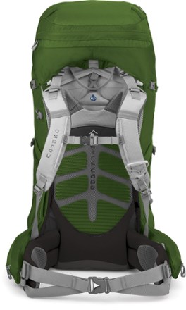 Suspension (Bonsai Green)