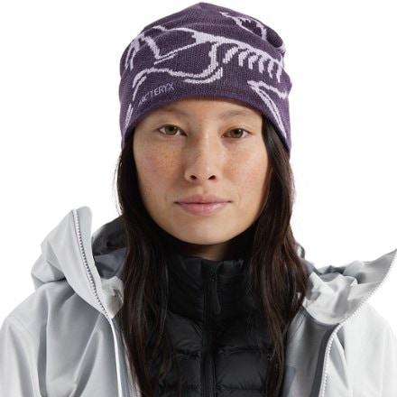 Arc'teryx Bird Head Toque Beanie 1
