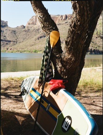 Location Image of color Native Scales