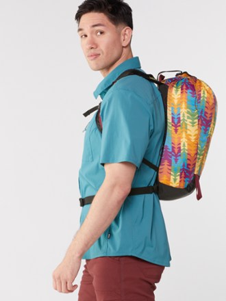 REI Co-op Flash 18 Pack - Pride Graphic Edition 2