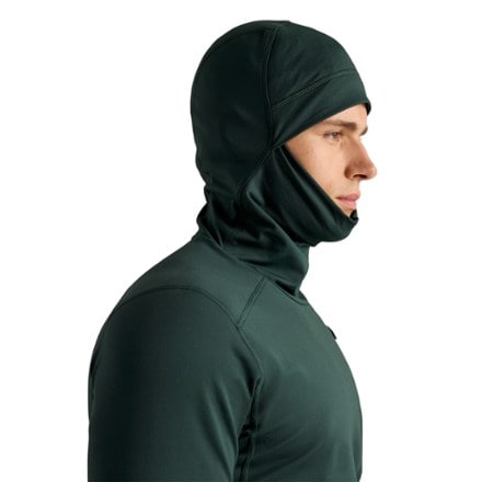 Arc'teryx Rho LT Base Layer Hoody - Men's 5