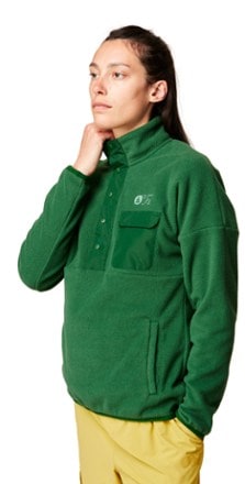 Picture Organic Clothing Arcca Quarter Fleece Pullover - Women's 5
