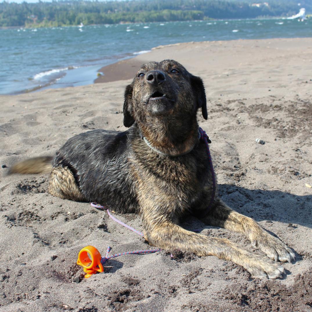 Location Image for Orange Screw Ultimate Ground Anchors - Large - Package of 2