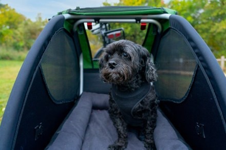 Burley Pet Bed 2