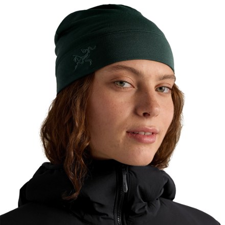 Arc'teryx Rho Toque Hat | REI Co-op