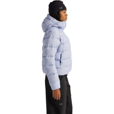 Arc'teryx Thorium Down Jacket - Women's 4