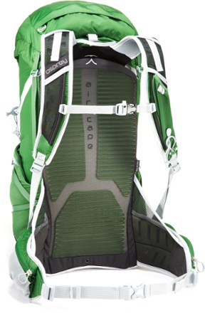 Suspension View (Shamrock Green)