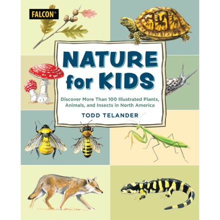 Product Image of color