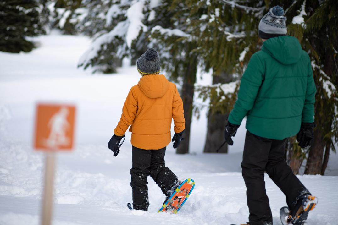 Location Image for Timber Mountain Gloves - Kids'