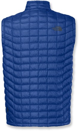 Back View (Monster Blue)