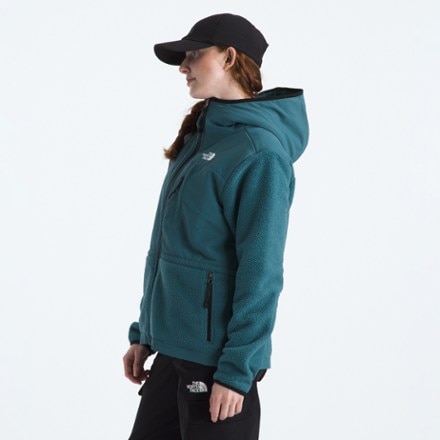 The North Face Retro Denali Hoodie - Women's 4