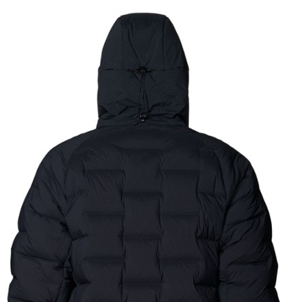 Mountain Hardwear Stretchdown Parka - Men's 4