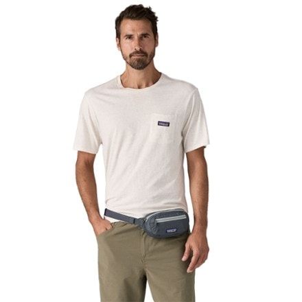 Patagonia Terravia Mini Hip Pack 2