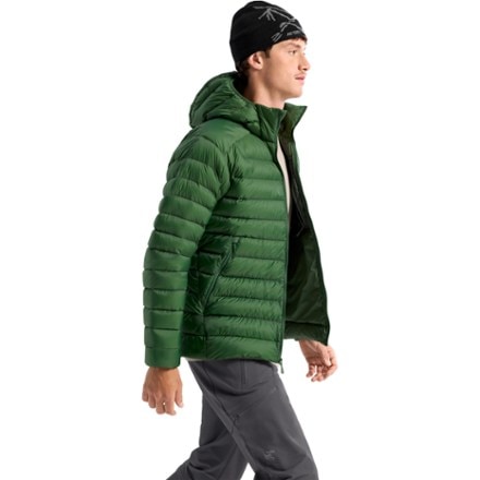 Arc'teryx Cerium Down Hoody - Men's 5