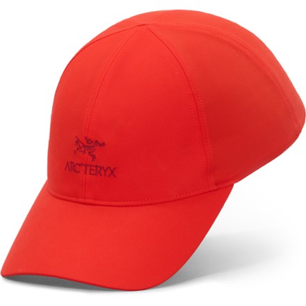 Arc'teryx Bird Word Cap | REI Co-op