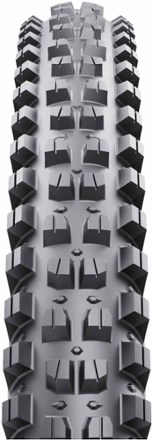 WTB Verdict Tire 2
