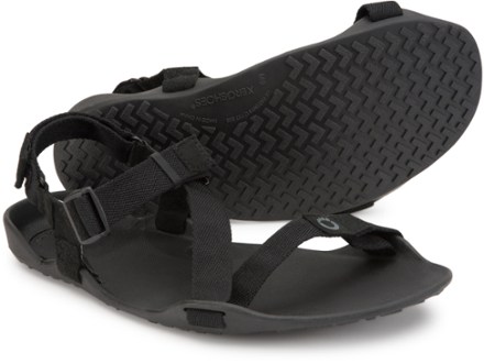 Xero Shoes Z-Trek Sandals - Men's 2