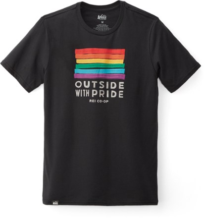Patagonia online pride shirt