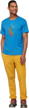 Cotopaxi Llama Stripes Organic T-Shirt - Men's 3