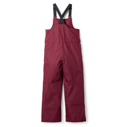 The North Face Freedom Insulated Bib Snow Pants 3