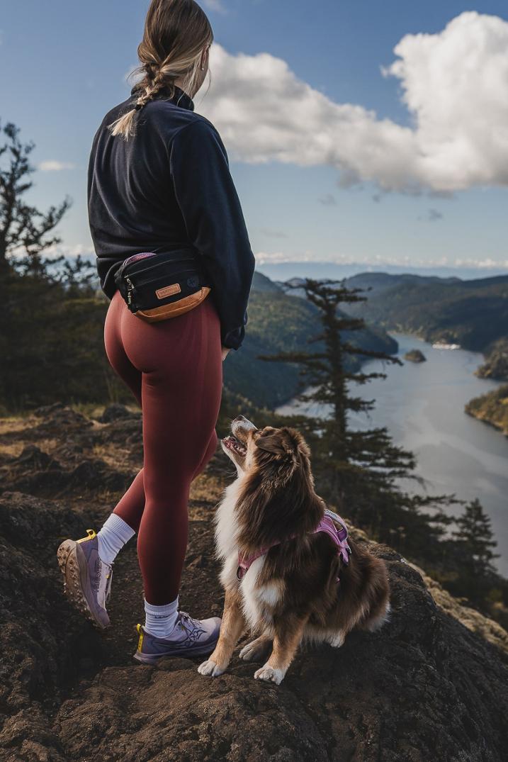 Location Image for Dog Walking Utility Pack