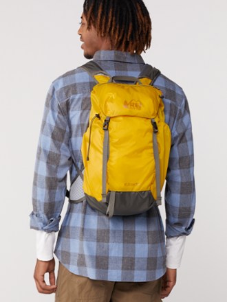 REI Co-op Flash 22 Pack 1
