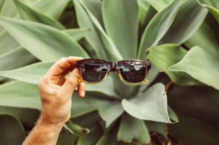 Location Image for Targa Polarized Sunglasses