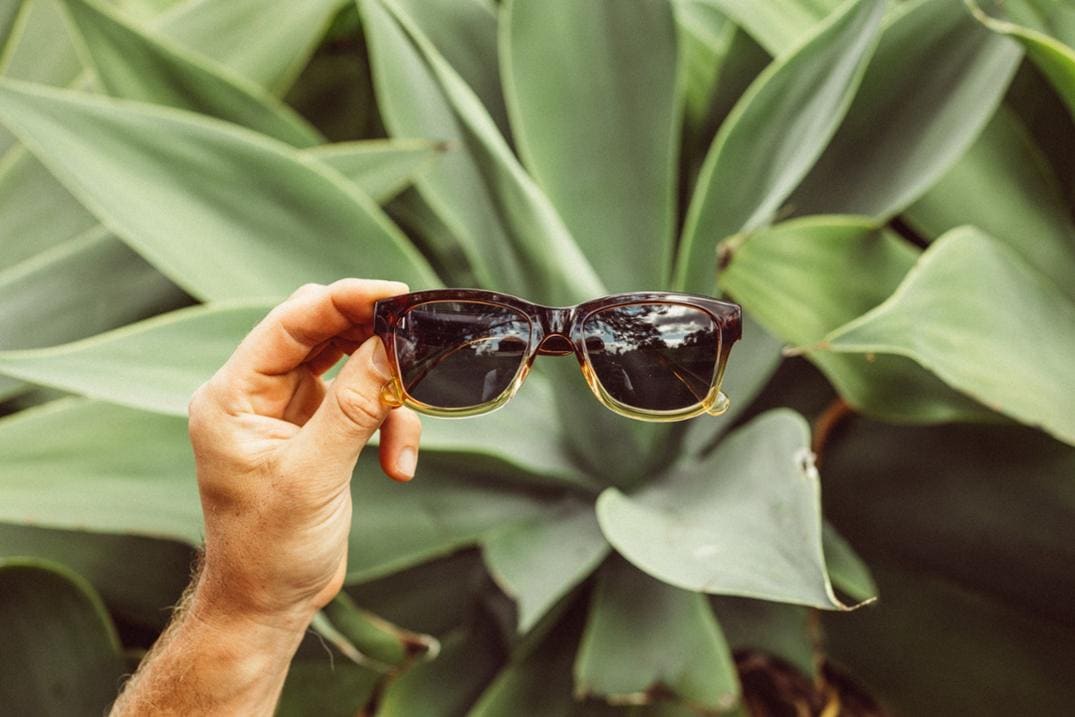 Location Image for Targa Polarized Sunglasses