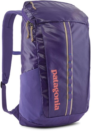 Patagonia Black Hole 25L Travel Pack 0