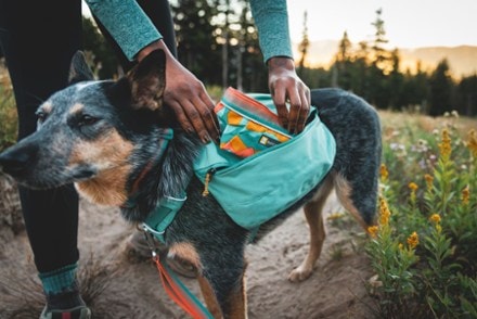 Ruffwear Quencher Dog Bowl 1
