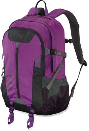 purple patagonia backpack
