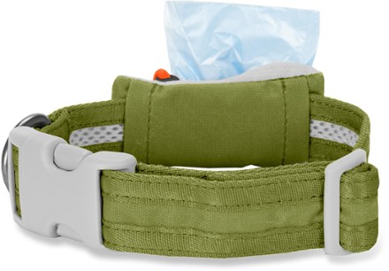 alternate view (Presidio Green)