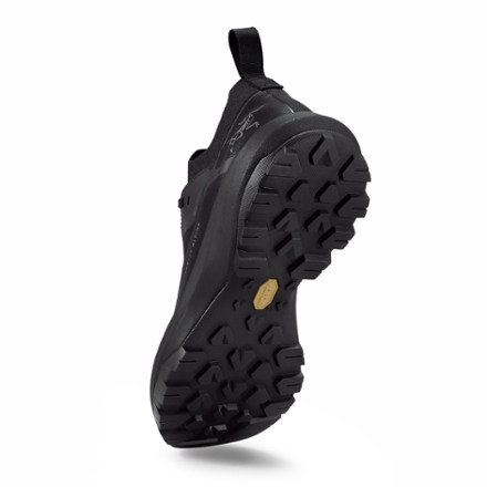Vertex Alpine GTX Approach Shoes - Men's
