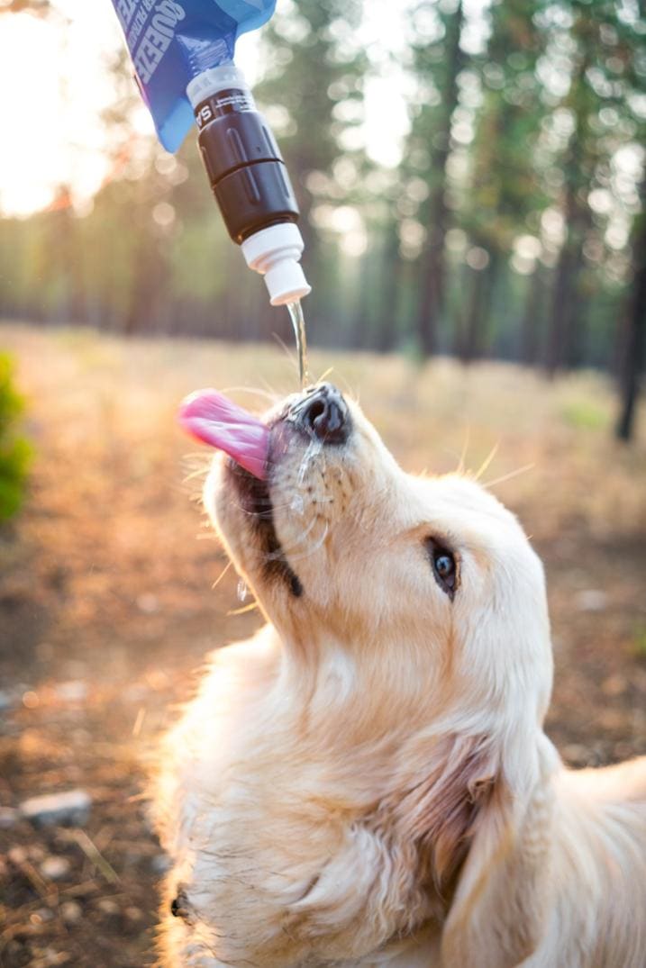 Location Image for Micro Squeeze Water Filtration System