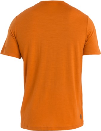 Icebreaker Tech Lite II Camp Essentials T-Shirt - Men's 4