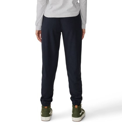 Mountain Hardwear Microchill Joggers - Women's 2