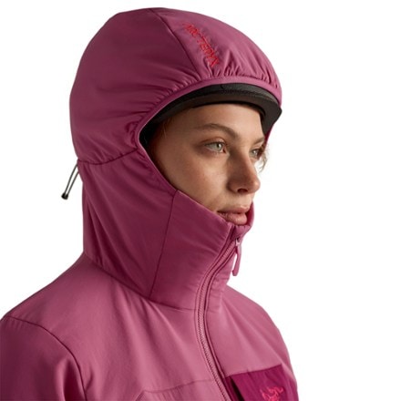Arc'teryx Proton Insulated Hoody - Women's 5