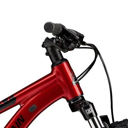 Rocky Mountain Growler Jr 20 Kids' Mountain Bike 4