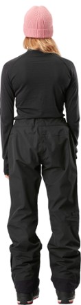 Picture Organic Clothing Sylva 3L Pants - Women's 6